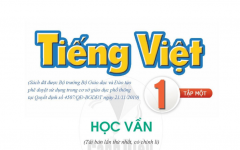 Tieenga Vieetj1 tập 1 CD