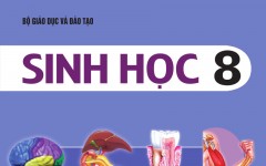 Sách giáo khoa Sinh học lớp 8