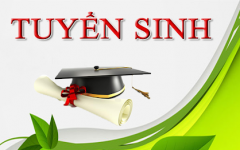 Hướng dẫn PHHS đăng ký và tra cứu kết quả tuyển sinh trực tuyến qua hệ thống tuyển sinh đầu cấp