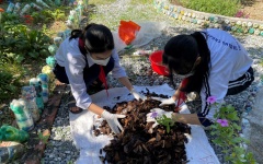 Phân bón hữu cơ tái chế từ xơ dừa kết hợp với vỏ trứng nhằm tái tạo đất và phòng chống ốc sên