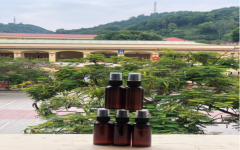 Các sản phẩm đuổi muỗi từ thảo dược