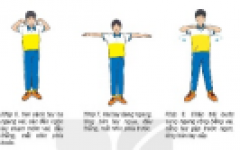 Kế hoạch bài dạy Giáo dục thể chất 6 (học kỳ 1)