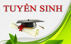 Sử dụng phần mềm tuyển sinh đầu cấp