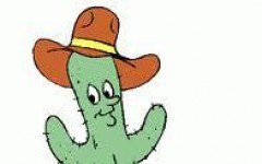 Sức sống của cây xương rồng