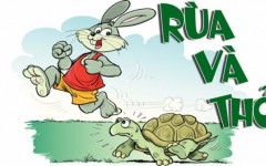 Thỏ và Rùa