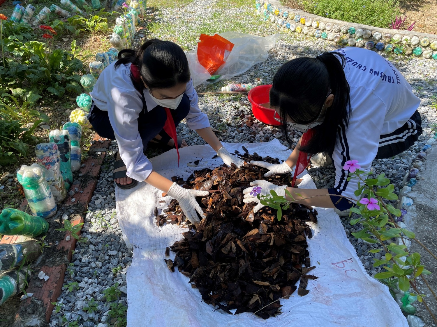 Phân bón hữu cơ tái chế từ xơ dừa kết hợp với vỏ trứng nhằm tái tạo đất và phòng chống ốc sên