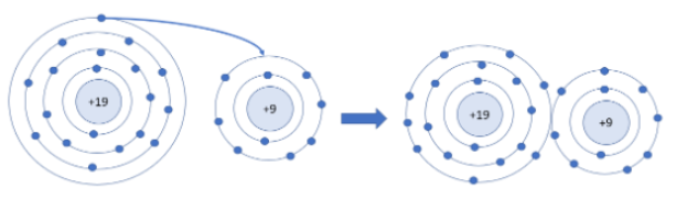 Đề kiểm tra giữa học kỳ I môn KHTN 7